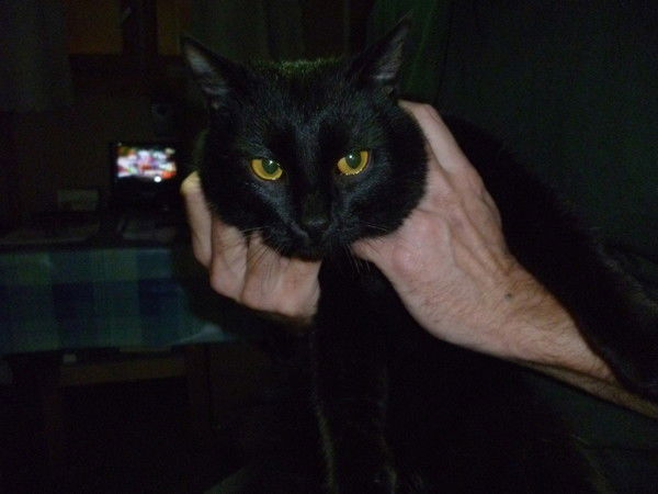 Людоед Вегетарианец