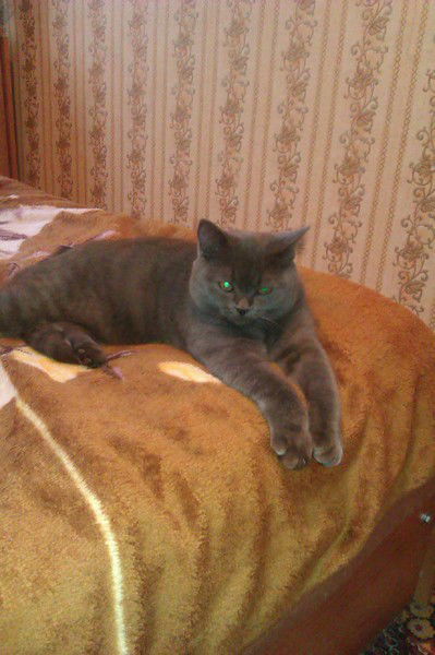 Екатерина Коренева