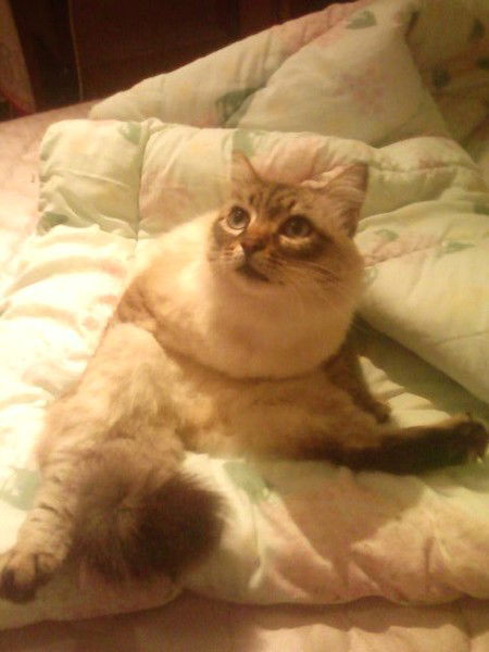 Татьяна Чухланцева