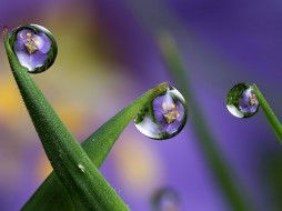 Ольга Шишкина