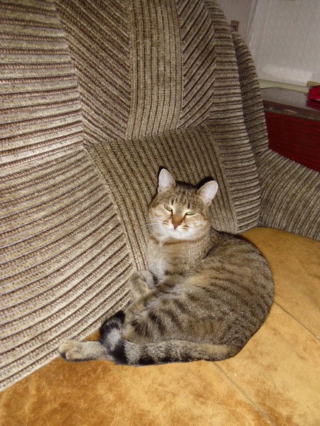 Галина Степанова(Кочеткова)