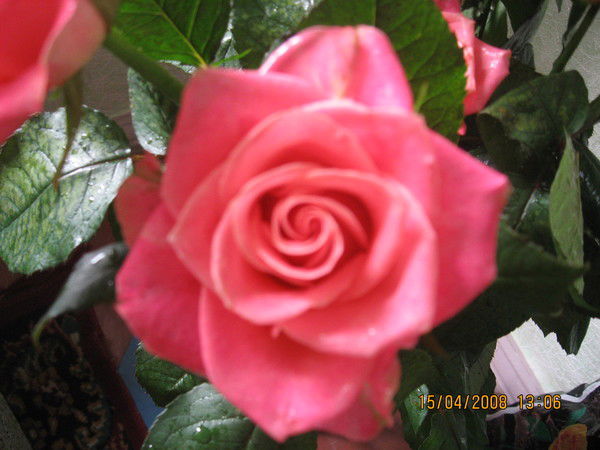 Октябрина Светлова