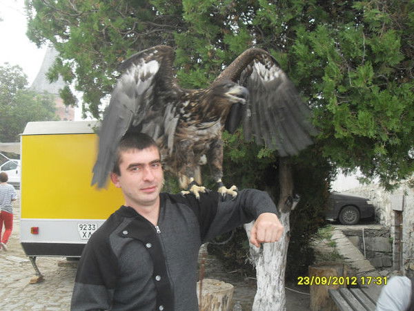 Денис Заплитный