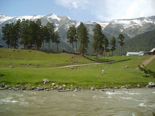 Елена Внукова