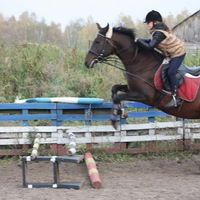 Анастасия Степашкина