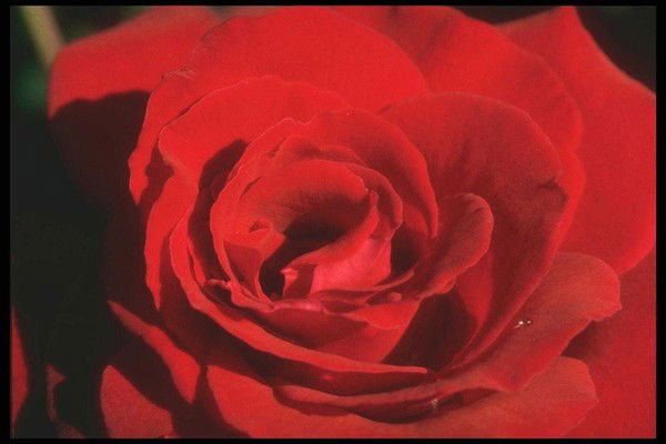 Татьяна Картлыкова