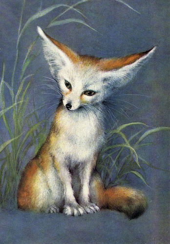 Добрый Филин