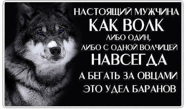 Еркин Абылгазин