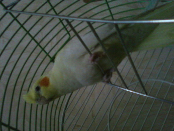 Андрей Владимирович