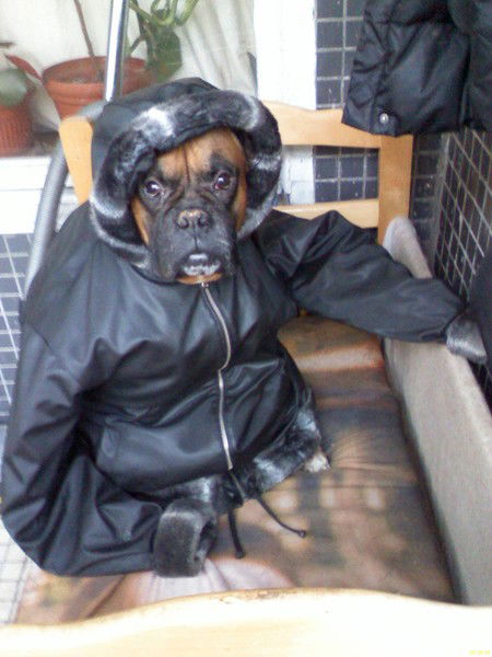 Белов Владимир