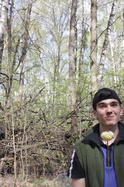 Андрей Прокофьев