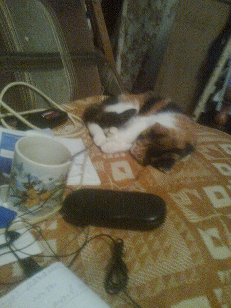 Никлай Карепов