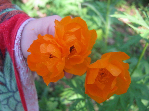 Наталья Пронина