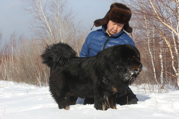 Цыретаров Александр