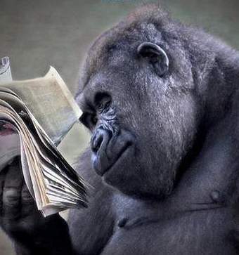 Владимир Пономарев