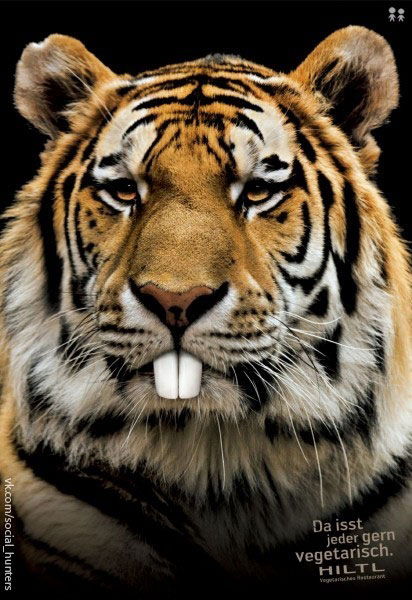 Михаил Маньков