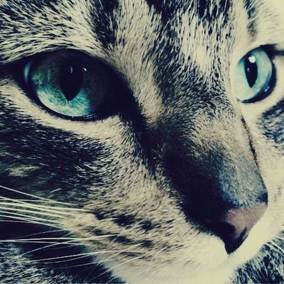 Валерия Шиленкова