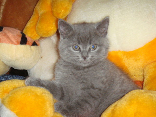 Иришка ***зф