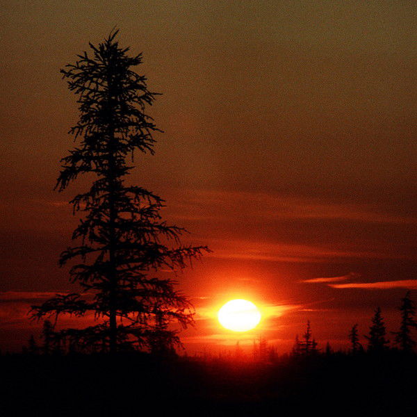 Николай Насадюк