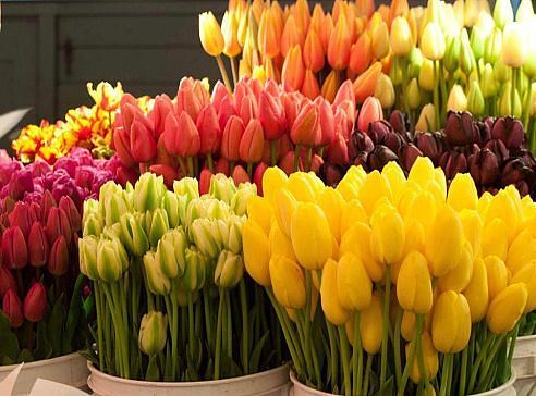 Наргиза Нарзуллаева