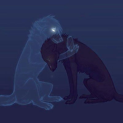 Акрам Борубеков