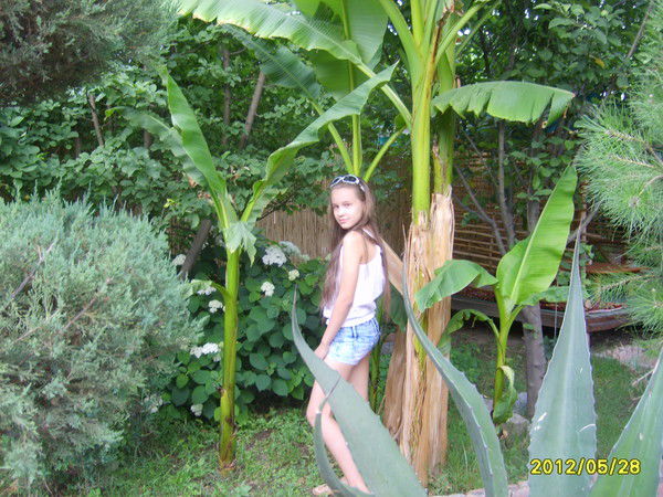 Татьяна Найденова