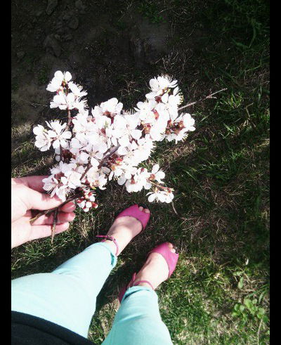 Альбінка Поступака