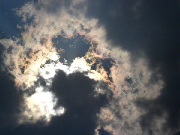 Алексей Рачеев