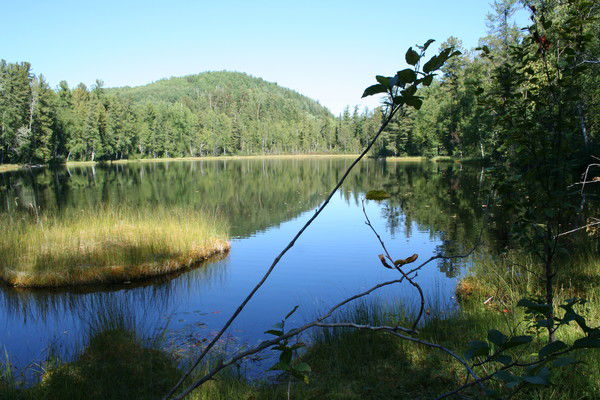 Сергей Васин