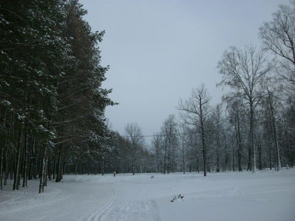 Елена Шкраба