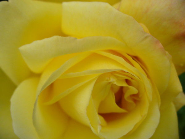 Танечка Танюшка