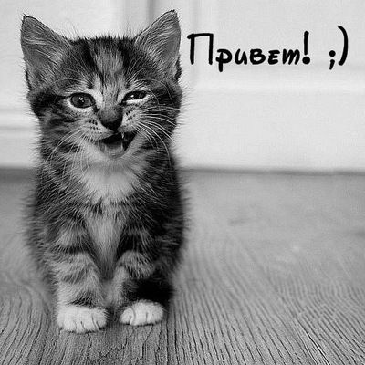 Катюша Миляева