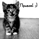 Катюша Миляева