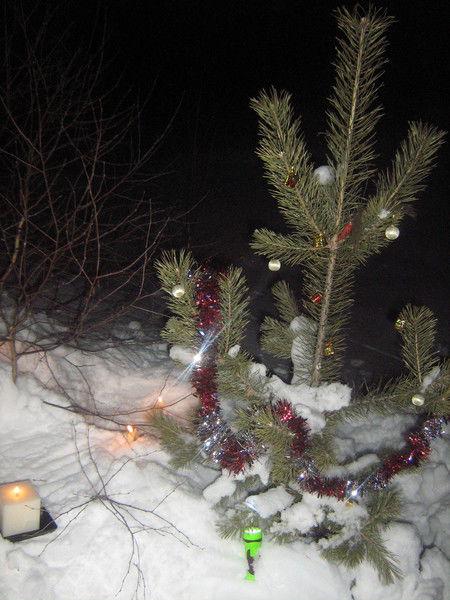 Михаил Трофименко