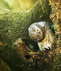 Снова Янаталья