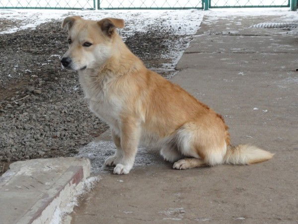 Любовь Филиппова