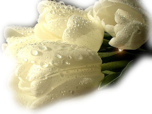 Любовь Бойко