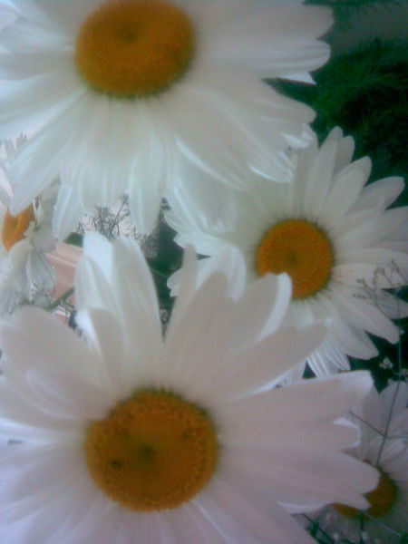 Виталий Руденко