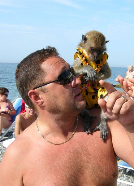 Дмитрий Ермилов