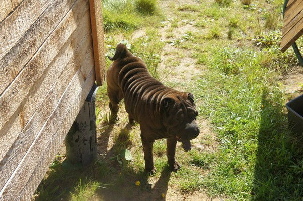 Ирина Павлушкина