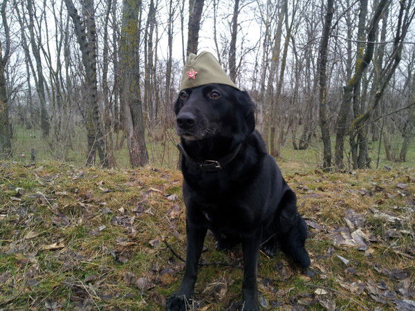 Сергей Кукош