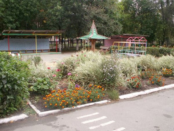 Мбдоу Црр Дс №351