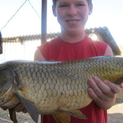 Дмитрий Беличенко