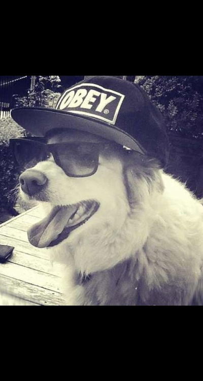 Рустам Нажмудинов