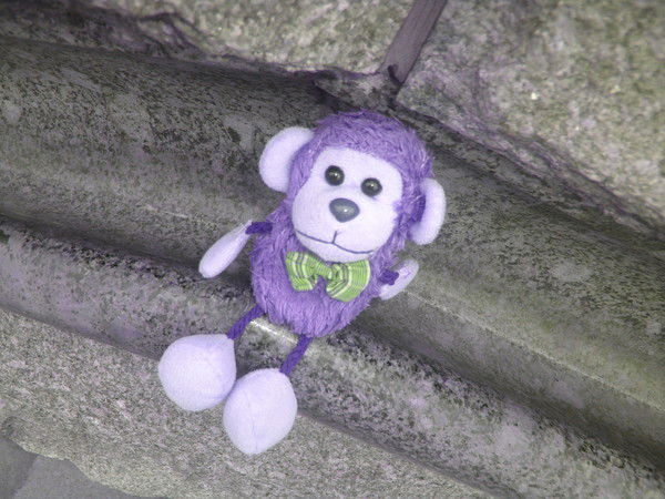 Света Сенчурова