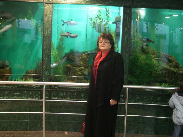 Неизвестно Неизвестно