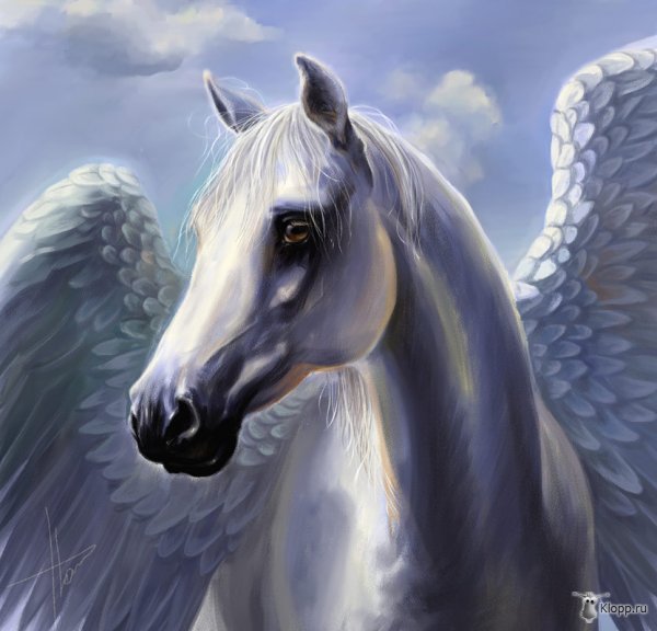 Елена Перегудова