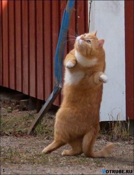 Павел Глушков