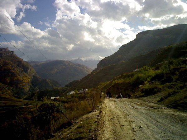 Наталья Литвинова