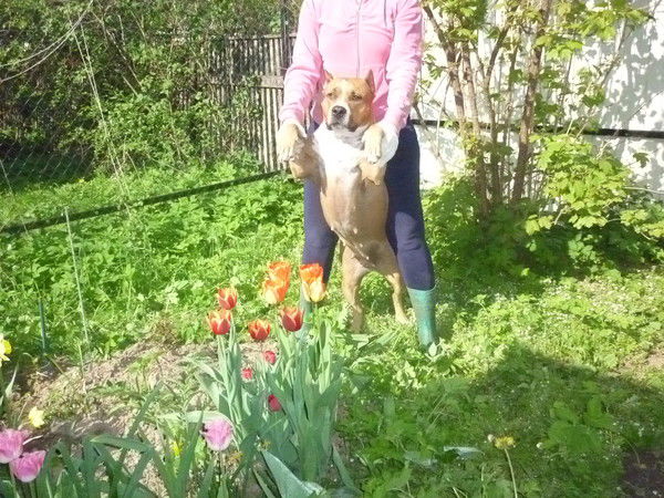 Максим Крюгер